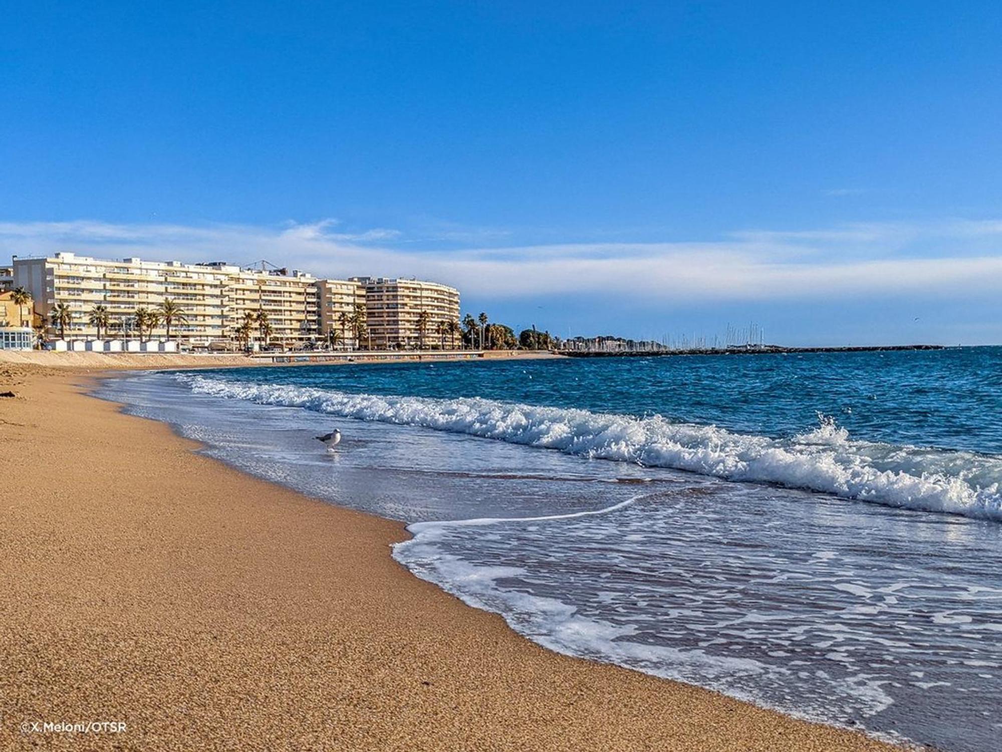 Appartement 2P, 4 Couchages, Terrasse Et Salon De Jardin A 200M De La Plage, Frejus - Fr-1-226A-22 ภายนอก รูปภาพ